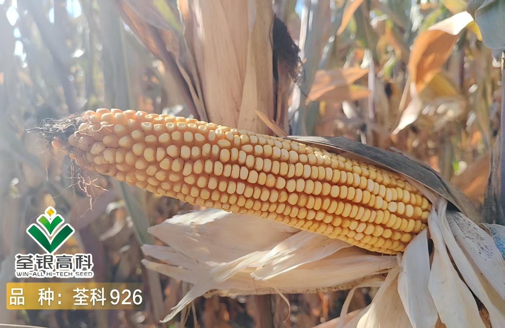 荃科926.jpg 荃科926.jpg